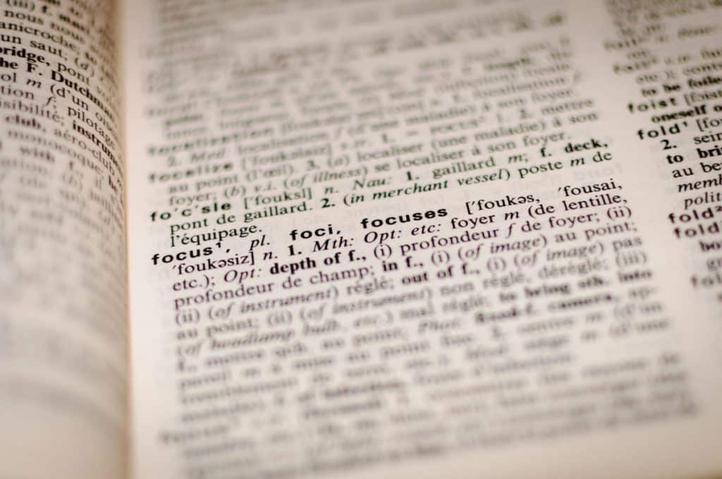 Zoom sur l’un de nos domaines d’expertise : la traduction professionnelle